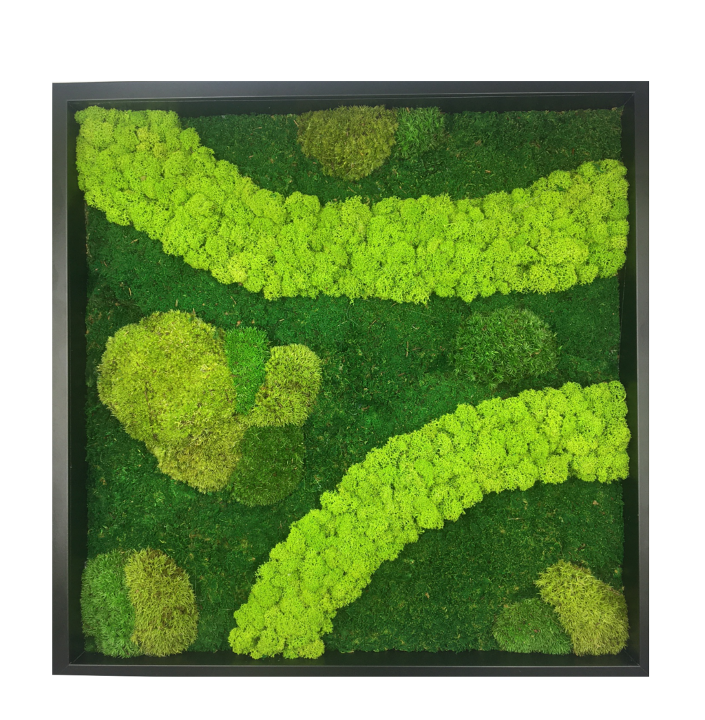 Unique Handcrafted Mix Moss Wall Art 52 x 52 cm in Black Frame